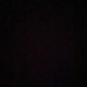 Meet your Posher, Daryl